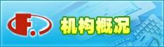 显示相关图片